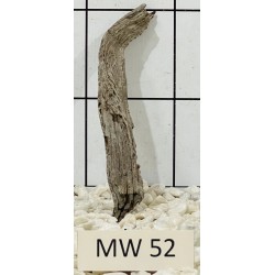 Mangrovewood 52