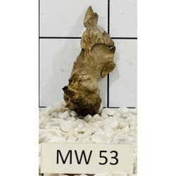 Mangrovewood 53