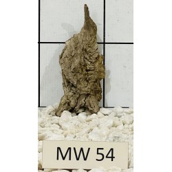 Mangrovewood 54