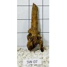 Stump wood 07