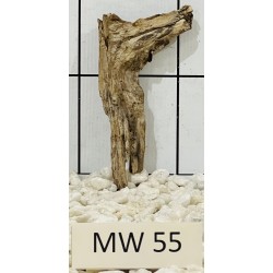 Mangrovewood 55