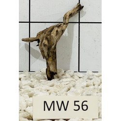 Mangrovewood 56