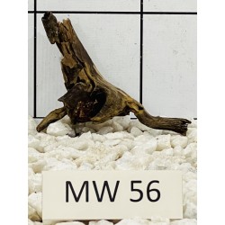 Mangrovewood 56