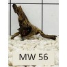 Mangrovewood 56