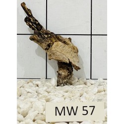 Mangrovewood 57