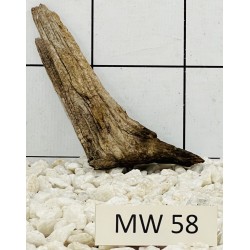 Mangrovewood 58