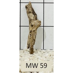 Mangrovewood 59