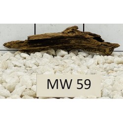 Mangrovewood 59