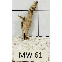 Mangrovewood 61