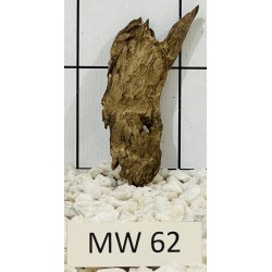 Mangrovewood 62