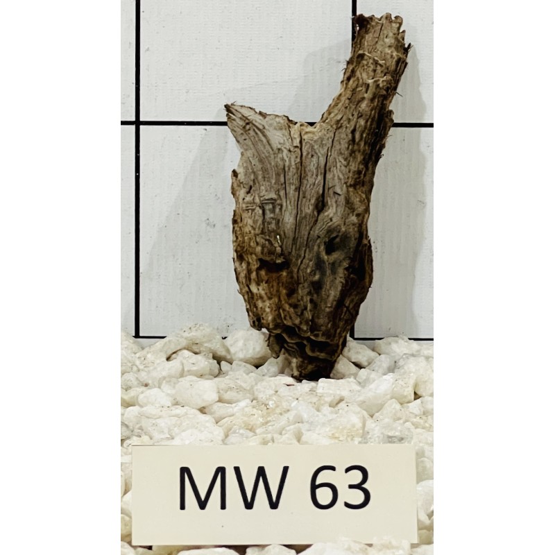 Mangrovewood 63