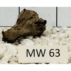 Mangrovewood 63
