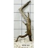 Mangrovewood 64