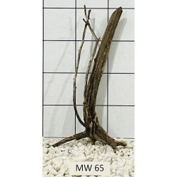 Mangrovewood 65
