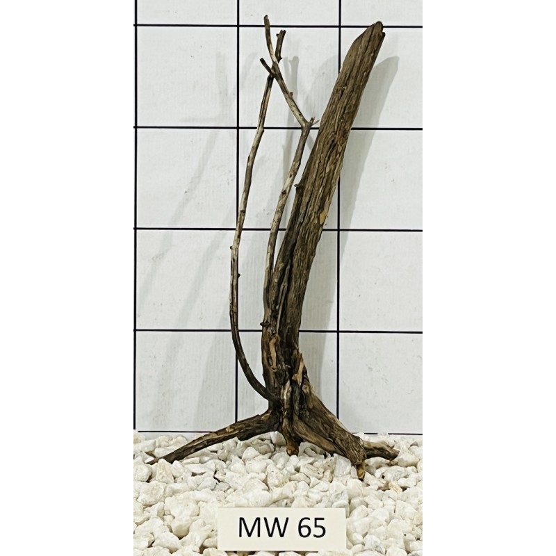 Mangrovewood 65