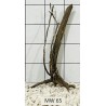 Mangrovewood 65