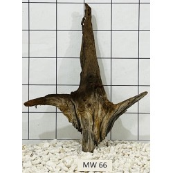 Mangrovewood 66