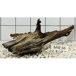 Mangrovewood 66