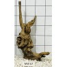 Mangrovewood 67