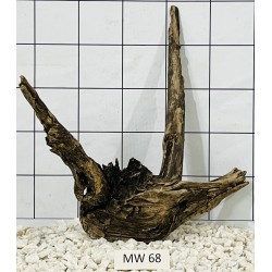 Mangrovewood 68