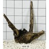 Mangrovewood 68