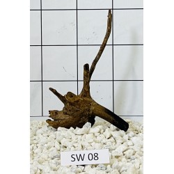Stump wood 08