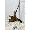 Stump wood 08