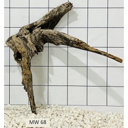 Mangrovewood 68