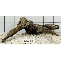 Mangrovewood 68