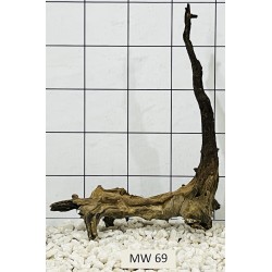 Mangrovewood 69
