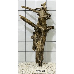 Mangrovewood 70