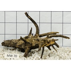 Mangrovewood 70