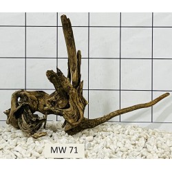 Mangrovewood 71