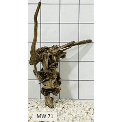 Mangrovewood 71