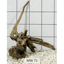 Mangrovewood 71