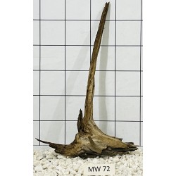Mangrovewood 72