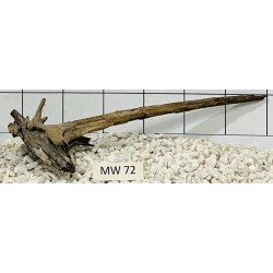 Mangrovewood 72