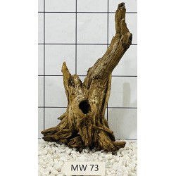 Mangrovewood 73