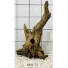 Mangrovewood 73