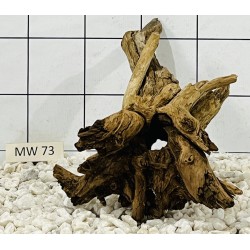 Mangrovewood 73