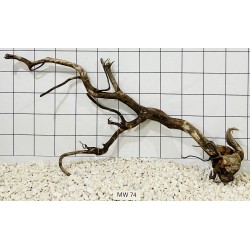 Mangrovewood 74