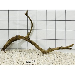 Mangrovewood 75