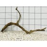 Mangrovewood 75