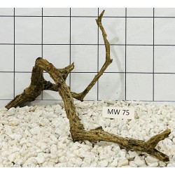 Mangrovewood 75
