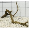 Mangrovewood 75