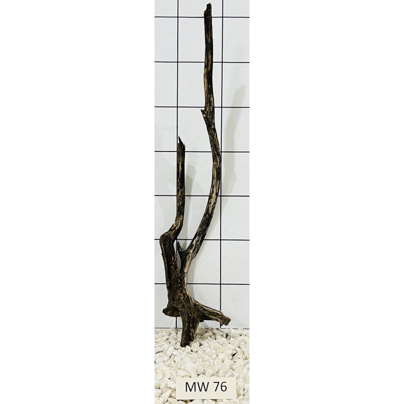 Mangrovewood 76