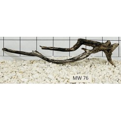 Mangrovewood 76