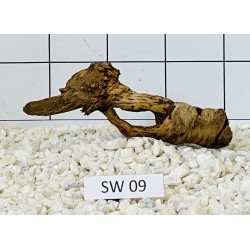 Stump wood 09