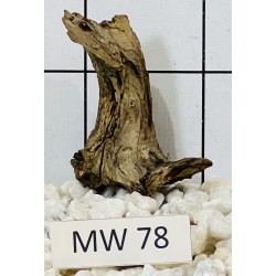 Mangrovewood 78