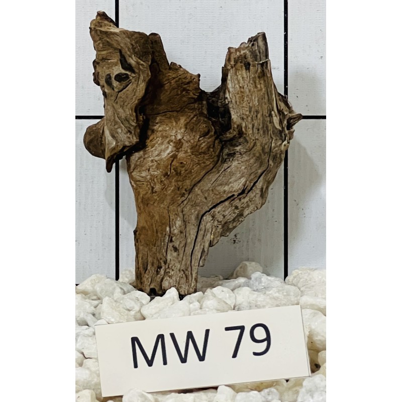 Mangrovewood 79